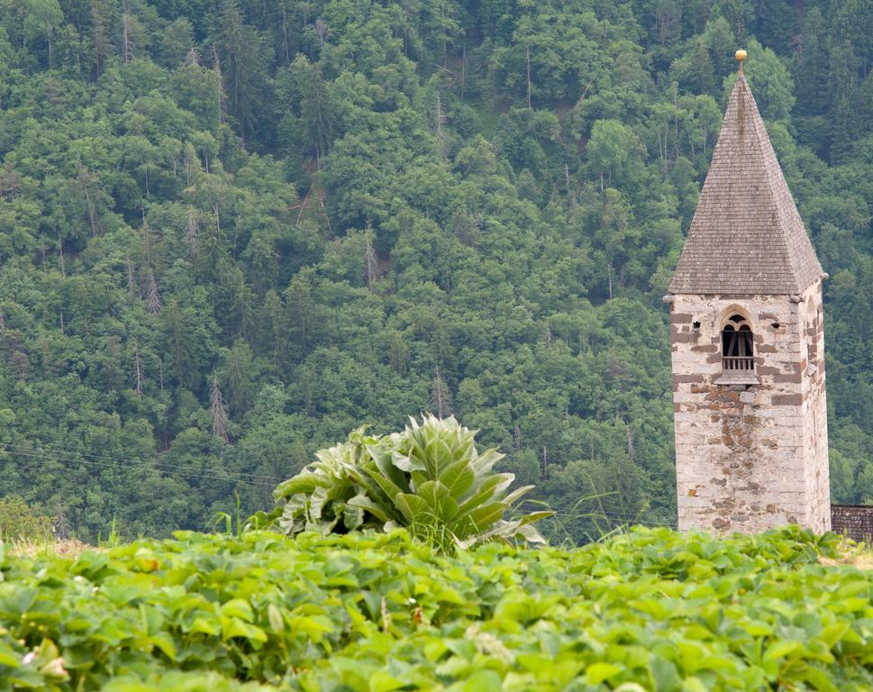 Ausservogelweiderhof Laion Exterior foto